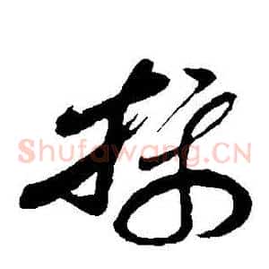 攝