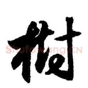 樹