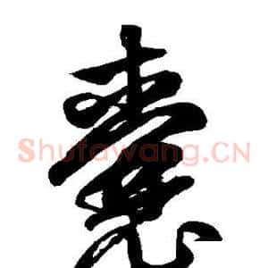 囊