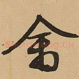 禽