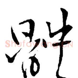 体