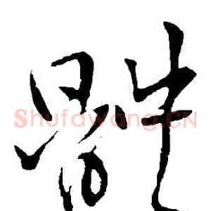 體