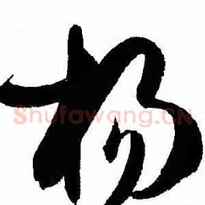 杨