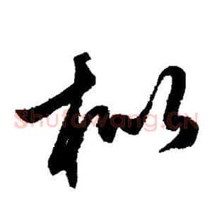 枇