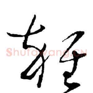 杂