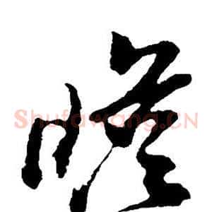 瞻