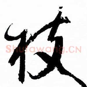 枝