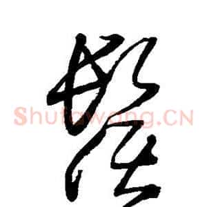 须