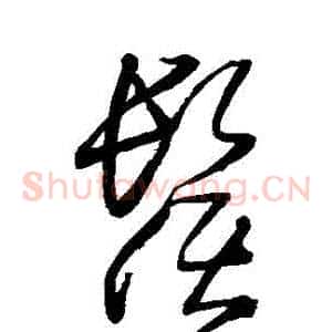 須