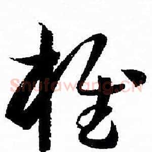 椎