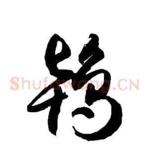 鸨