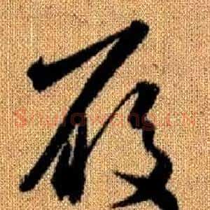 履