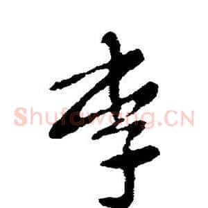 李