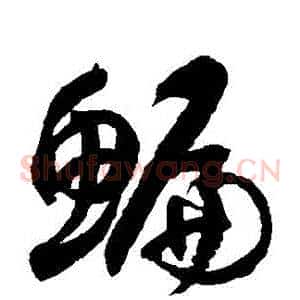 鯿