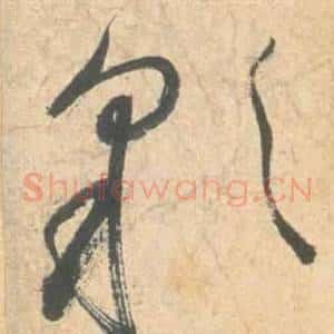 彩