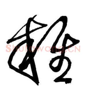 杂