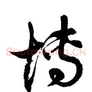 博