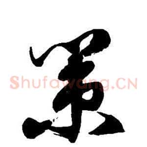 策