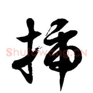 插