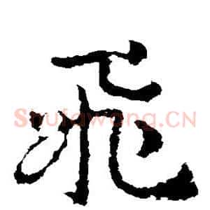 飞