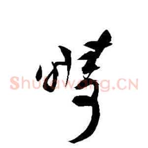 畴