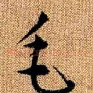 毛