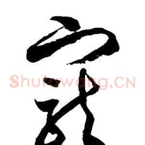 宠