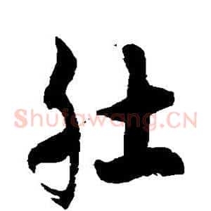 肚