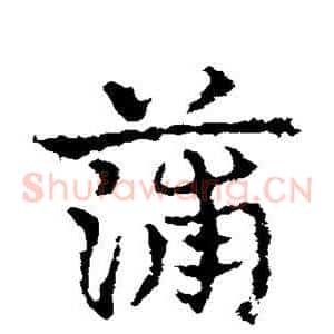 蒲