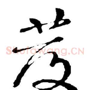 发