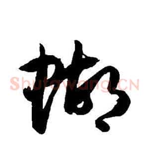 蝴