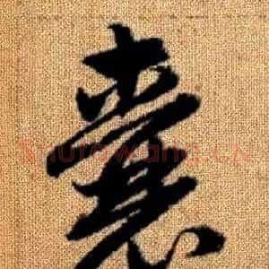 囊