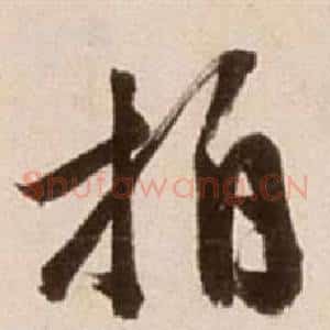 拍