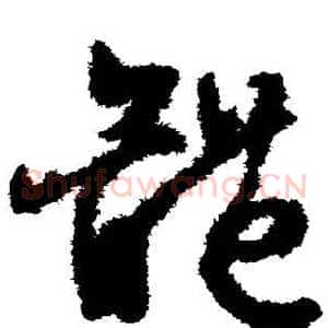体