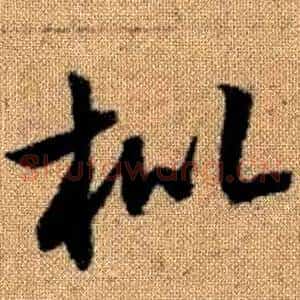 枇