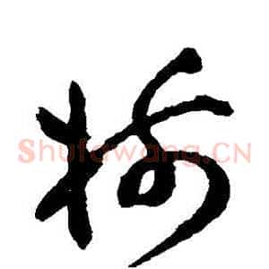 樹