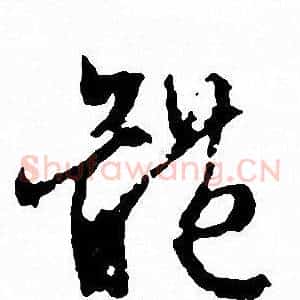 體