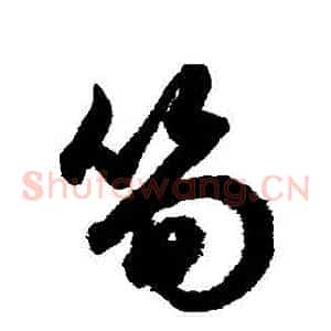 筍