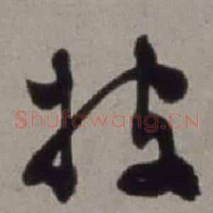 披