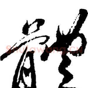 体