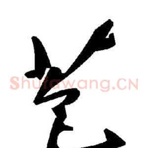 苞