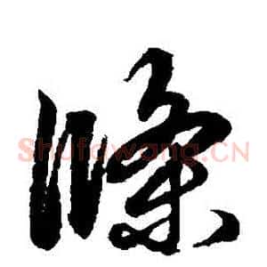 條