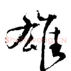 雄