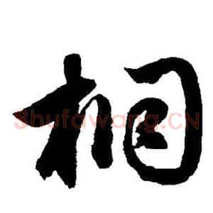 桐