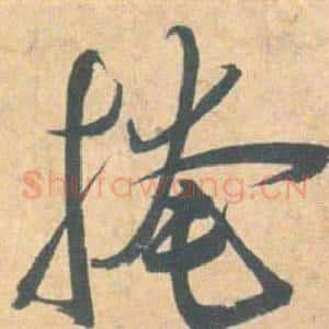 掩