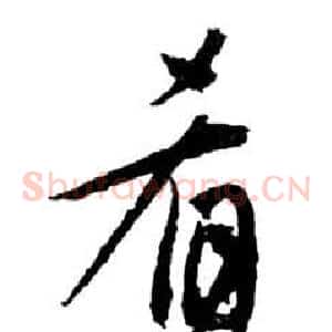 肴