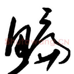 鯿