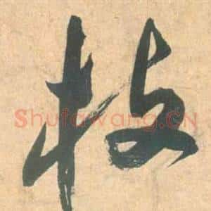 枝