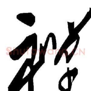 禅