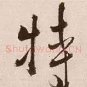 特